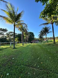 a park with palm trees on a sunny day at Sítio Canto da Seriema in Torrinha +38 photos