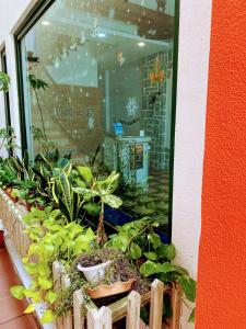 En hage utenfor 墾丁船帆石海景五臥室 包棟villa 五餅二魚I電動麻將I k歌l德州撲克桌遊I廚房I步行沙灘三分鐘 IG搜Kenting Timehouse beach villa