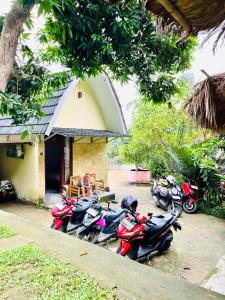 Perwita Homestay外面的花园