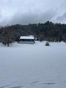 Το Firefly Fields 2-Acres With Guest House, Game Room, Mountain & River Views τον χειμώνα