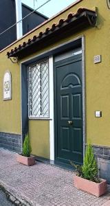 a green door of a house with two potted plants at Etna Garden Francesca in Presa