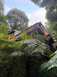 Zahrada ubytování Sassafras Treehouse Private home in the Dandenong Ranges, Victoria