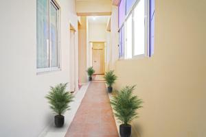Fotografie z fotogalerie ubytování Hotel O City Lodge v destinaci Erode