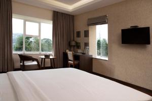 TV a/nebo společenská místnost v ubytování The Hamuse Hotel Kodaikanal - Luxury Redefined