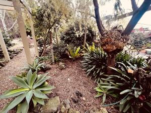 Jekab's Retreat外面的花园
