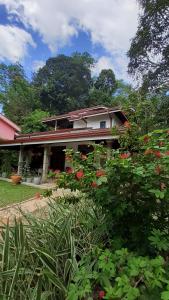 Zahrada ubytování Jithu homestay Mirissa