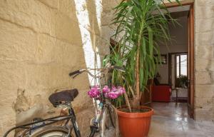 Fotografie z fotogalerie ubytování B&B Demetra Appartamenti v destinaci Lecce