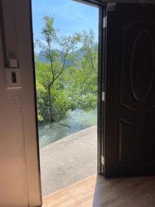 Příroda nedaleko hostelu