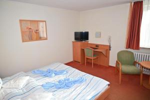 TV a/nebo společenská místnost v ubytování Hotel Passat