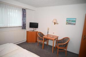 TV a/nebo společenská místnost v ubytování Hotel Passat
