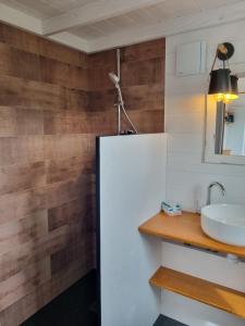 une salle de bain avec un lavabo et un miroir dans l'établissement Tiny House, Hautes Vosges, à Saint-Maurice-sur-Moselle 58 autres photos