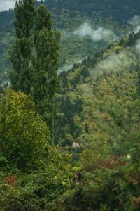 Příroda nedaleko hotelu + 6 fotografií