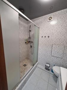 ein Badezimmer mit Dusche und Toilette in der Unterkunft 1-комнатная на левом берегу Днепра in Dnipro