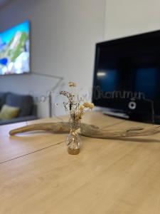 TV a/nebo společenská místnost v ubytování Mesnerhof