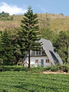 Gallery image of Pine Trees Gold in Vagamon
