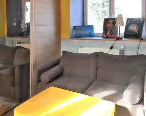 Televisyen dan/atau pusat hiburan di Maison avec sauna à Saint-Sauveur-en-Rue, 60 m²