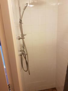 Koupelna v ubytování vakantiehuis en appartement De Harscamp