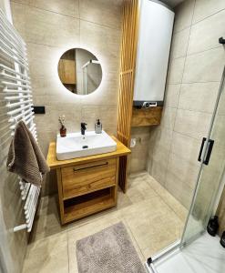 Et badeværelse på Apartmán Vista Rokytnice + 54 billeder