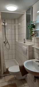a bathroom with a sink and a toilet and a tub at Ferienunterkünfte Schüle in Leibertingen