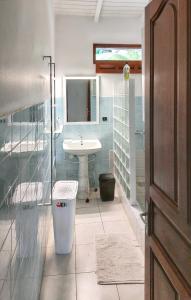 a bathroom with a sink and a mirror at Maison en bord de mer à Saint-Claude avec jardin et vue imprenable in Saint-Claude