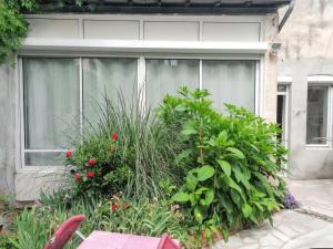 Vonkajšia záhrada v ubytovaní Studio charmant à Néris-les-Bains - 25 m² avec terrasse