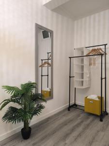 a room with a potted plant and a mirror at Cris Place in Câmara de Lobos
