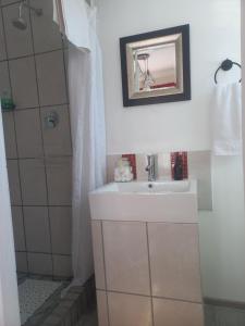 a bathroom with a sink and a shower at Bedrock Accommodation in Gansbaai +8 photos