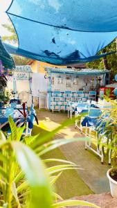 Viik wellness inn -3 Star Resort in Arambol Beach外面的花园