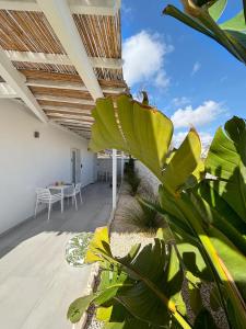 Un balcón o terraza en San Pietro Home
