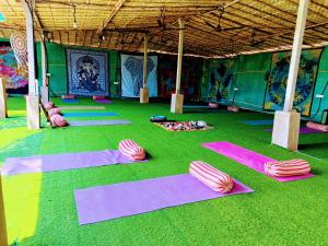 Viik wellness inn -3 Star Resort in Arambol Beach外面的花园