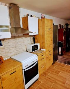 Kuchyň nebo kuchyňský kout v ubytování Apartment Kameni dvori
