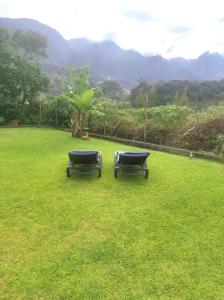 two benches sitting in the grass in a field at CASA GIRASSOL " uma Janela para o Nascer do Sol " in São Vicente +105 photos