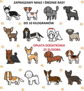 Domácí mazlíčci ubytovaní s hosty v ubytování APARTAMENTY PIASKOWE BŁĘKITNA