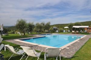 a swimming pool with chairs and a lawn at Agriturismo Morisfarms - Santa Laura in Cura Nuova