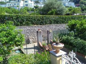 a garden with a planter and a stone wall at U' Pizzico ( the pinch ) in Capri +4 photos