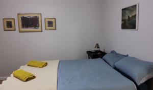 a bedroom with a bed with blue and yellow sheets at Tesselaarsdal Backpackers & Koshuis in Caledon