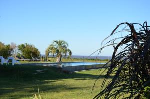 a swimming pool with a palm tree in a field at Le Moment Posada Boutique in Colonia del Sacramento