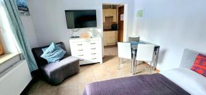 TV a/nebo společenská místnost v ubytování Józefina Apartament's z dotępem do mini SPA