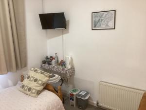 TV a/nebo společenská místnost v ubytování Alba b & b