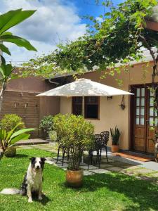 Zahrada ubytování Suíte Parque Barigui