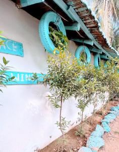 Viik wellness inn -3 Star Resort in Arambol Beach外面的花园