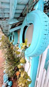 Viik wellness inn -3 Star Resort in Arambol Beach外面的花园