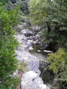 Natural landscape malapit sa holiday home