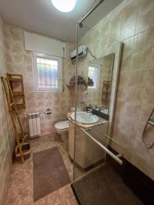 a bathroom with a shower and a sink and a toilet at Apartamentos Dos Carneros in Alhaurín de la Torre