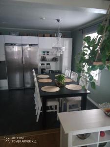 Dapur atau dapur kecil di Lake Vanttaus