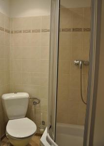 Kupatilo u objektu Hotel Loucky
