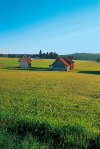 two barns in the middle of a field of grass at Landhaus Sackmann in Baiersbronn