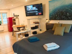 TV a/nebo společenská místnost v ubytování Ferienwohnung Diekblick - Kleiner Deichhof