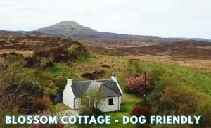 a small house in the middle of a field at Araucaria Croft Skye in Dunvegan
