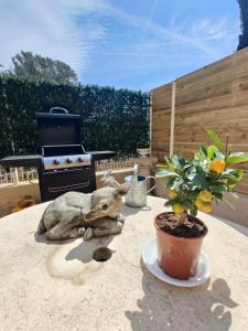 Zahrada ubytování Studio évasion - SPA, Mer et Calanques